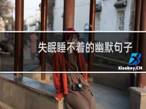 失眠睡不着的幽默句子
