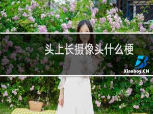 头上长摄像头什么梗