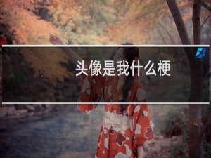 头像是我什么梗