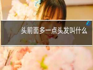 头前面多一点头发叫什么