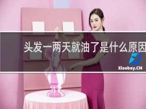 头发一两天就油了是什么原因