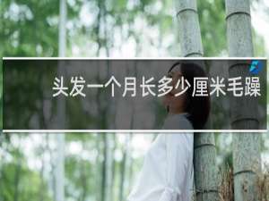 头发一个月长多少厘米毛躁