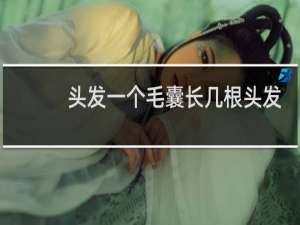 头发一个毛囊长几根头发