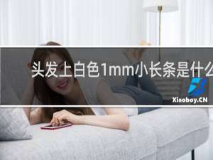 头发上白色1mm小长条是什么