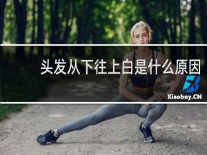 头发从下往上白是什么原因