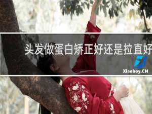 头发做蛋白矫正好还是拉直好