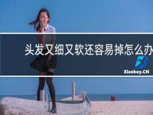 头发又细又软还容易掉怎么办
