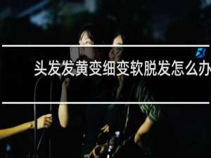 头发发黄变细变软脱发怎么办