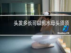 头发多长可以剪水母头须须
