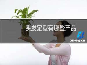 头发定型有哪些产品