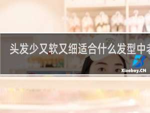 头发少又软又细适合什么发型中老年