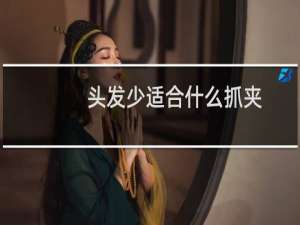 头发少适合什么抓夹