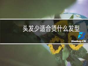 头发少适合烫什么发型