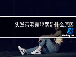 头发带毛囊脱落是什么原因