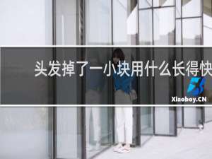 头发掉了一小块用什么长得快