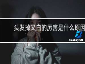 头发掉又白的厉害是什么原因