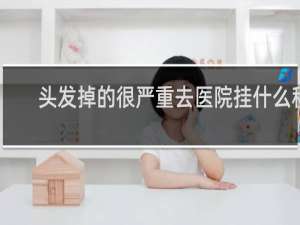 头发掉的很严重去医院挂什么科