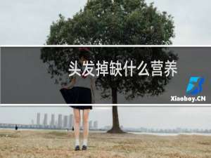 头发掉缺什么营养