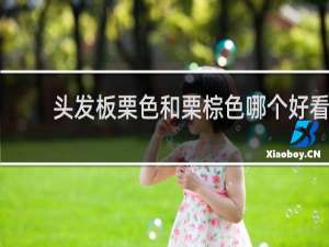 头发板栗色和栗棕色哪个好看