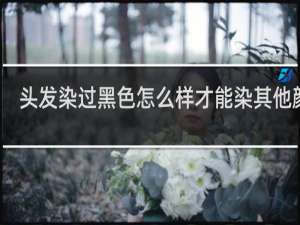 头发染过黑色怎么样才能染其他颜色