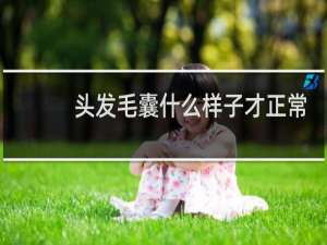 头发毛囊什么样子才正常