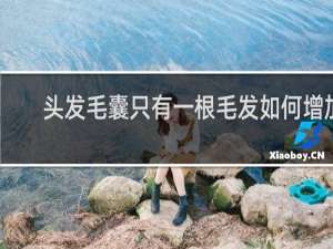 头发毛囊只有一根毛发如何增加