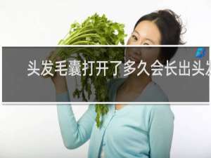 头发毛囊打开了多久会长出头发