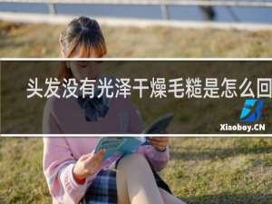 头发没有光泽干燥毛糙是怎么回事