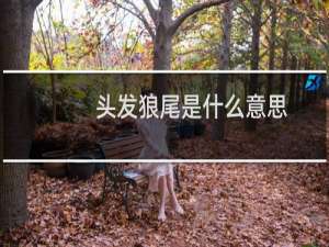 头发狼尾是什么意思