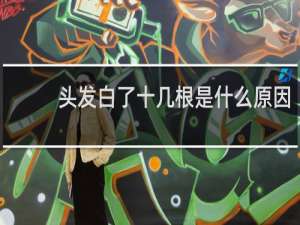 头发白了十几根是什么原因