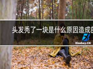 头发秃了一块是什么原因造成的