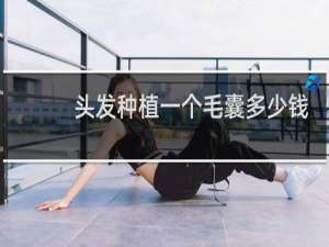 头发种植一个毛囊多少钱