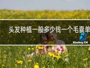 头发种植一般多少钱一个毛囊单位