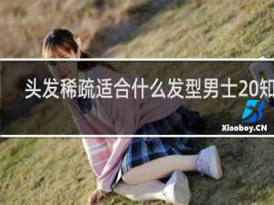 头发稀疏适合什么发型男士 知乎