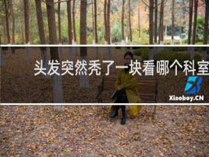 头发突然秃了一块看哪个科室