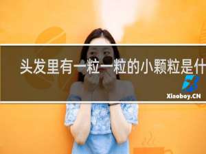 头发里有一粒一粒的小颗粒是什么