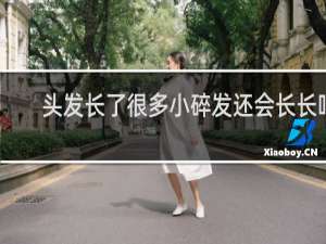 头发长了很多小碎发还会长长吗