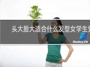 头大脸大适合什么发型女学生党