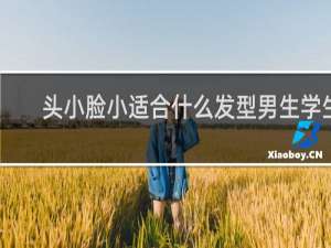 头小脸小适合什么发型男生学生