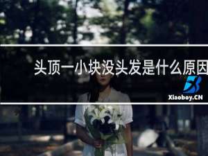 头顶一小块没头发是什么原因