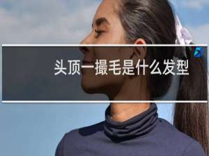 头顶一撮毛是什么发型