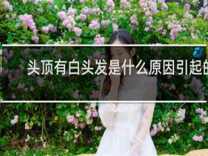 头顶有白头发是什么原因引起的
