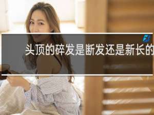 头顶的碎发是断发还是新长的