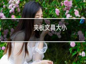 夹板文具大小