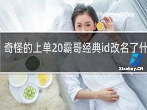 奇怪的上单 霸哥经典id改名了什么梗