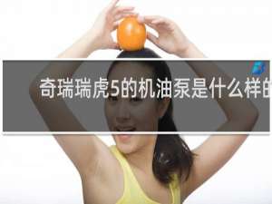 奇瑞瑞虎5的机油泵是什么样的