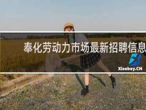 奉化劳动力市场最新招聘信息