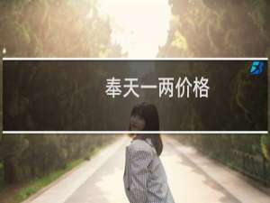 奉天一两价格