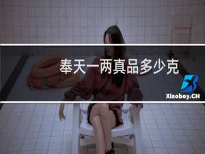 奉天一两真品多少克