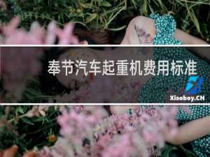 奉节汽车起重机费用标准